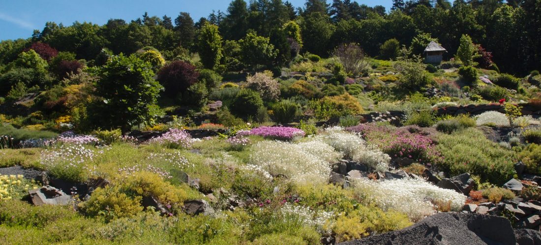 Arboretum Makču Pikču